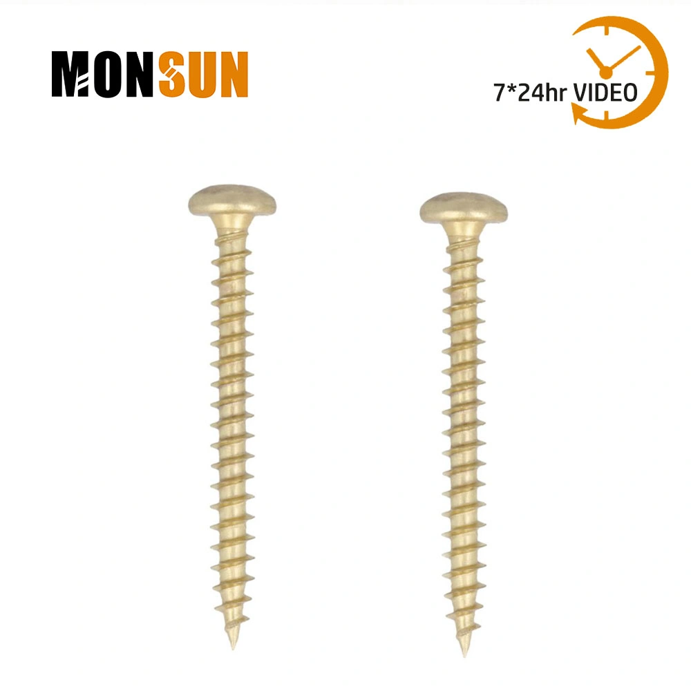 Square Drive Chipboard Screw 5x60mm (25)